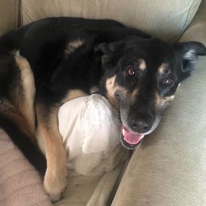 Meet your Posher, Charlene